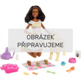 Mattel Barbie brunetka s fenkou a štěňátky [HCK76]