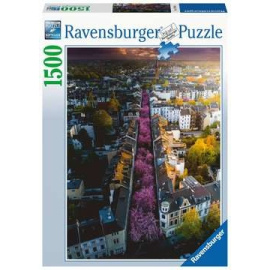 Ravensburger Puzzle Bonn v květu 1500 dílků